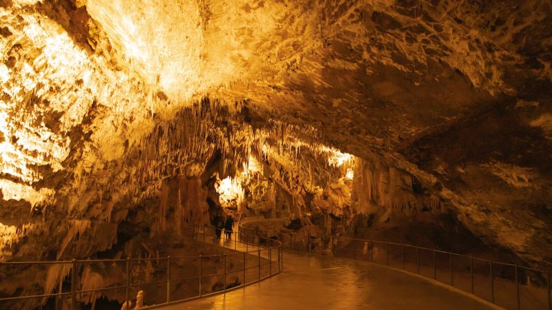 La Grotte de Chauvet, un magnifique exemple de l’art pariétal préhistorique.